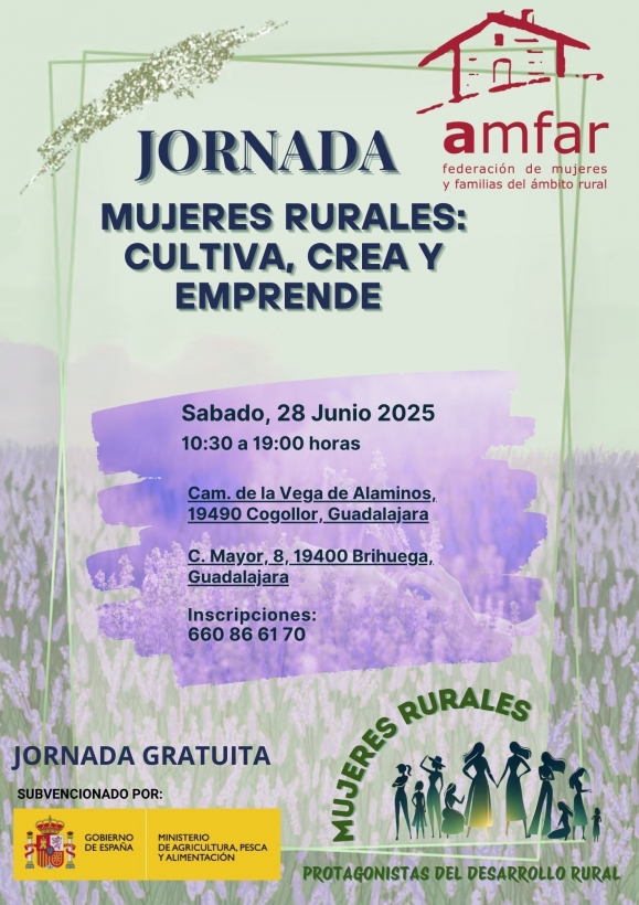 Imagen Curso