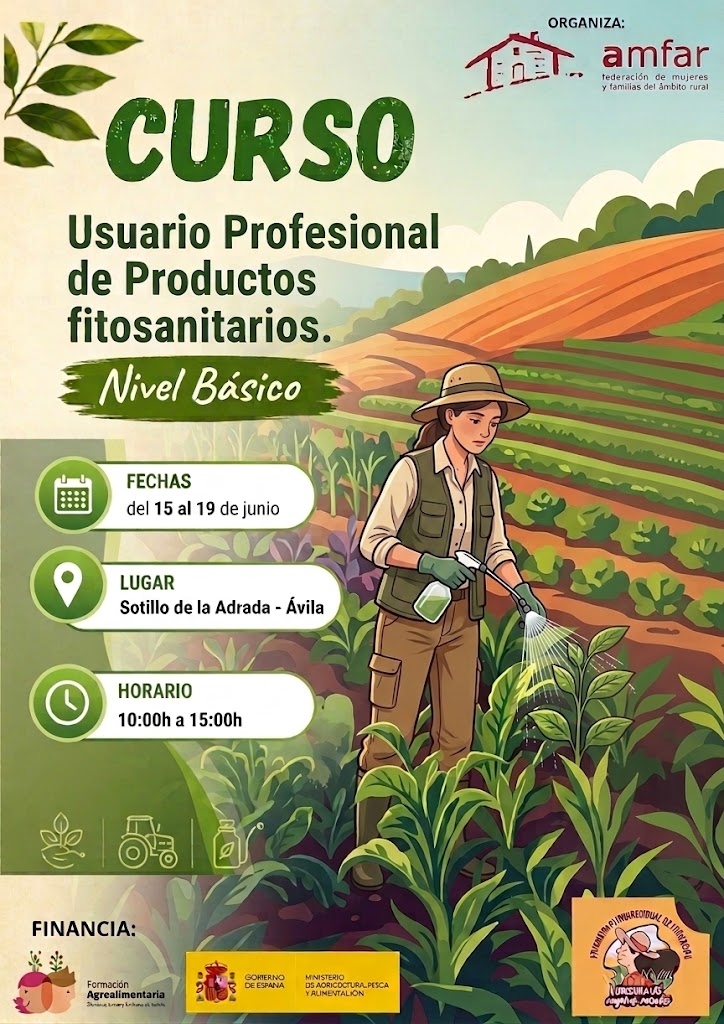 Imagen Curso