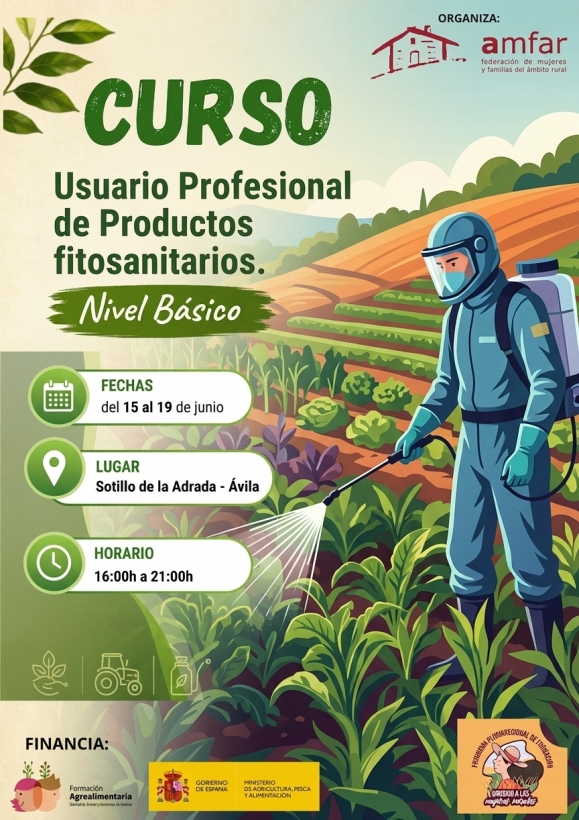Imagen Curso