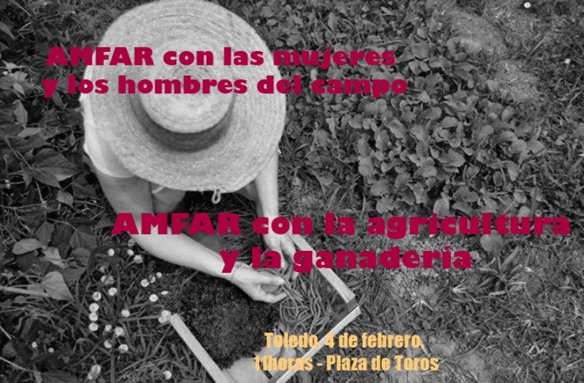 Imagen Detalle Noticia