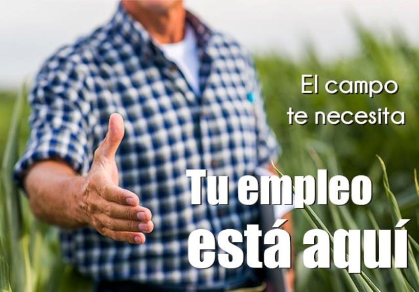 Imagen Noticia