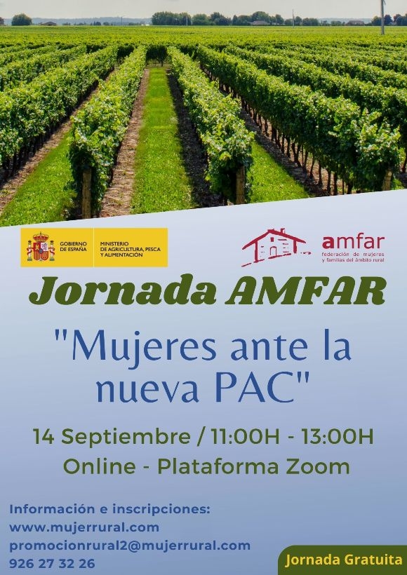 Imagen Noticia