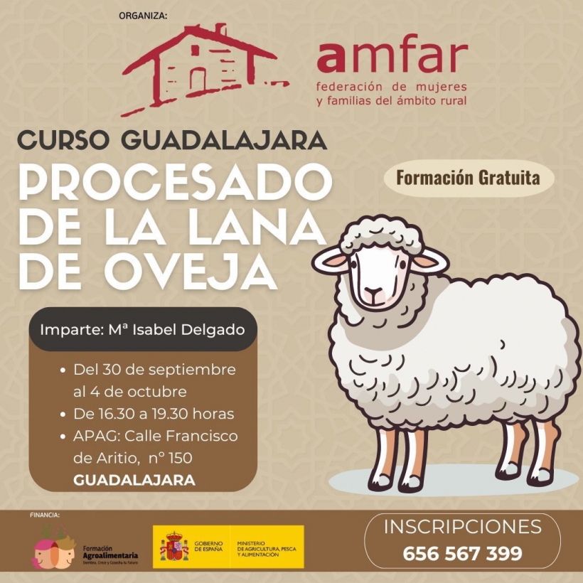Imagen Noticia