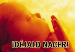 Imagen Detalle Noticia