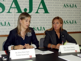 Imagen Detalle Noticia